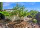 Lush backyard featuring mature landscaping and stone accents adding a touch of nature and privacy at 1768 E Grand Ridge Rd, Queen Creek, AZ 85140