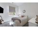 Cozy bedroom with soft carpet, plush bed, and natural light at 19009 E Reins Rd, Queen Creek, AZ 85142