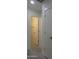 Hallway with wood-look tile flooring, leading to a bathroom with a partial view of the shower at 1922 N 21St Pl, Phoenix, AZ 85006