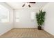 Bedroom with a large tree in a pot at 21538 E Alyssa Ct, Queen Creek, AZ 85142