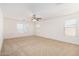 Spacious carpeted bedroom with ceiling fan and bright natural light from the large window at 21538 E Alyssa Ct, Queen Creek, AZ 85142