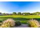 Scenic community park offers lush green space and mature trees, perfect for outdoor enjoyment at 21538 E Alyssa Ct, Queen Creek, AZ 85142
