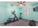 A gym features an elliptical, an exercise bike, and blue paint at 3715 W Teresa Dr, New River, AZ 85087