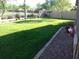 The spacious backyard features lush greenery and is enclosed with fencing for privacy and security at 4083 E Rustler Way, Gilbert, AZ 85297