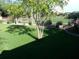 Large backyard with mature trees, lush green grass, a privacy fence, and some garden plants at 4083 E Rustler Way, Gilbert, AZ 85297