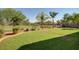 A wide open backyard features a manicured lawn, a wrought iron fence, and beautiful greenery at 4083 E Rustler Way, Gilbert, AZ 85297