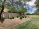 Well-maintained community landscape with lush green grass, trimmed bushes, gravel groundcover and mature shade trees at 4083 E Rustler Way, Gilbert, AZ 85297