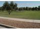 A large grassy field is great for activities or relaxing outdoors at 4083 E Rustler Way, Gilbert, AZ 85297