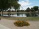 A serene pond surrounded by lush greenery and vibrant yellow flowers at 4083 E Rustler Way, Gilbert, AZ 85297