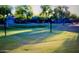 Neighborhood volleyball court with lush green grass at 4083 E Rustler Way, Gilbert, AZ 85297