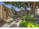 Lush backyard garden area with mature trees, gravel ground cover, rocks, and desert foliage at 43330 W Delia Blvd, Maricopa, AZ 85138