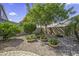 Well-maintained backyard with gravel ground cover, mature trees and desert landscaping at 43330 W Delia Blvd, Maricopa, AZ 85138