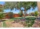 Large backyard with mature tree and privacy fence, great for entertaining or relaxing at 5614 N 20Th Dr, Phoenix, AZ 85015