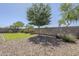 Spacious backyard features a mature tree, lawn and easy to maintain landscaping at 7261 E Teal Way, San Tan Valley, AZ 85143