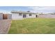 Wide backyard featuring newly installed grass and a concrete patio at 733 W El Prado Rd, Chandler, AZ 85225