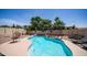 Backyard featuring a sparkling pool, lounge chairs, desert landscaping, and a shaded pergola at 853 W Hemlock Way, Chandler, AZ 85248
