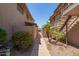 Walkway with colorful bushes and palm trees between buildings in a community providing a tranquil residential experience at 8538 E Portland St, Scottsdale, AZ 85257