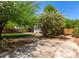 An expansive backyard features mature trees, a grassy area, privacy fence, and an extended concrete patio at 917 W Willetta St, Phoenix, AZ 85007