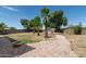 Expansive backyard with mature trees, palm trees, a decorative fire pit, and brick lined accents at 1106 E Altadonna St, San Tan Valley, AZ 85140