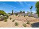 A well-manicured desert landscaped backyard with mature plants and a block fence at 13601 N 50Th Pl, Scottsdale, AZ 85254