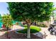 Picturesque backyard features lush landscaping, artificial turf, hardscape, and a shade tree at 20962 W Thomas Rd, Buckeye, AZ 85396