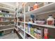 Walk-in pantry with spacious shelving for organized food storage, maximizing kitchen efficiency and convenience at 27809 N Silverado Ranch Rd, Peoria, AZ 85383