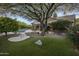 Backyard featuring a mature tree, pool, and synthetic grass at 28897 N 94Th Pl, Scottsdale, AZ 85262