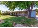 Green backyard featuring mature shade trees, a covered porch, and a well-maintained lawn at 3030 E Shangri La Rd, Phoenix, AZ 85028