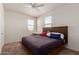 Bright bedroom featuring carpet, a ceiling fan, and a large bed with modern headboard and two windows at 3113 N 303Rd Dr, Buckeye, AZ 85396