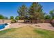 Lush backyard featuring a spacious pool, grassy area, and peaceful desert landscaping at 3381 E Canary Way, Chandler, AZ 85286