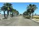 Scenic driveway lined with towering palm trees under a clear blue sky at 6262 S Dean Rd, Buckeye, AZ 85326