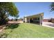 Spacious backyard with lawn, mature trees, and covered patio at 759 W Los Lagos Vista Ave, Mesa, AZ 85210