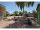 View of gravel backyard featuring a mature shade tree, desert landscaping, and privacy walls at 759 W Los Lagos Vista Ave, Mesa, AZ 85210