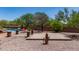 Landscaped backyard featuring an outdoor seating area with paver stones, brick accents, and desert vegetation at 7762 E Russell Cir, Mesa, AZ 85207