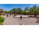 Serene backyard with a paver patio, desert landscaping, and a glimpse of the sparkling pool at 7762 E Russell Cir, Mesa, AZ 85207