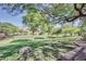 Lush green community park with mature trees, a bench, and beautiful scenery offering a relaxing outdoor space at 7762 E Russell Cir, Mesa, AZ 85207