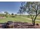 Picturesque golf course view showcasing lush green fairways, mature trees, and natural desert landscaping at 7762 E Russell Cir, Mesa, AZ 85207