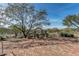 Brick-paved patio with decorative archway, lush greenery, and mountain views beyond the landscaping at 7762 E Russell Cir, Mesa, AZ 85207