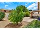 Charming backyard featuring a patio, lush landscaping, and mature trees creating a private outdoor oasis at 871 N Granada Dr, Chandler, AZ 85226