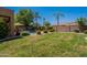 Lush backyard with a green lawn, palm trees, and a sparkling pool at 102 W Raven Dr, Chandler, AZ 85286