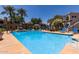 Inviting community swimming pool with lounge chairs and umbrellas for residents' enjoyment at 11375 E Sahuaro Dr # 1062, Scottsdale, AZ 85259