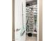 Organized pantry featuring shelving with storage baskets, paper towels, vacuums, and cleaning supplies for efficient home management at 13406 W Rowel Rd, Peoria, AZ 85383