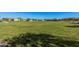 Expansive community greenbelt with lush grass and mature trees for outdoor enjoyment at 14253 W El Cortez Pl, Surprise, AZ 85387