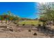 Community park featuring a fenced grassy area with seating, surrounded by desert landscape and homes at 14253 W El Cortez Pl, Surprise, AZ 85387