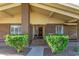 Welcoming home entrance with brick accents, mature landscaping, and a charming front door at 1704 E Hackamore St, Mesa, AZ 85203