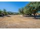 Expansive community grounds with mature trees, landscaping, and walking paths in a desert setting at 2625 E Beverly Rd, Phoenix, AZ 85042