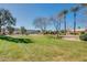Well-manicured community lawn featuring mature trees and palm trees, offering picturesque scenery at 2625 E Beverly Rd, Phoenix, AZ 85042