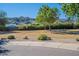 Neighborhood street view with manicured lawns, desert landscaping and mountain views, enhancing curb appeal at 2625 E Beverly Rd, Phoenix, AZ 85042
