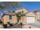 Tan single story home with an attached garage and landscaped front yard with stone and plants at 4514 W Hazel Ln, San Tan Valley, AZ 85144