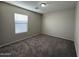 Well lit bedroom featuring plush carpeting and neutral walls at 6341 W Valencia Dr, Laveen, AZ 85339